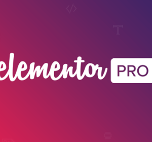 Elementor Pro